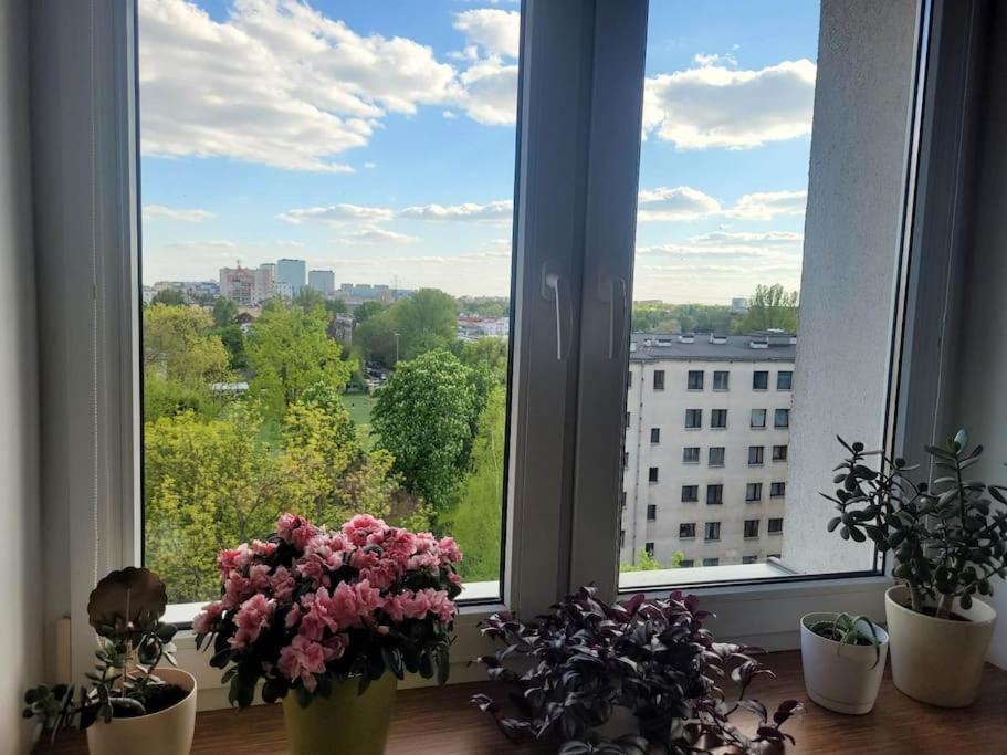 Syreny * Warszawa