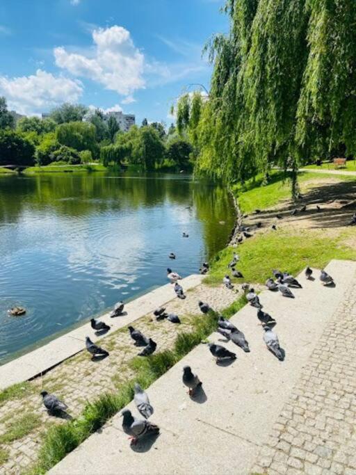 Syreny Warszawa